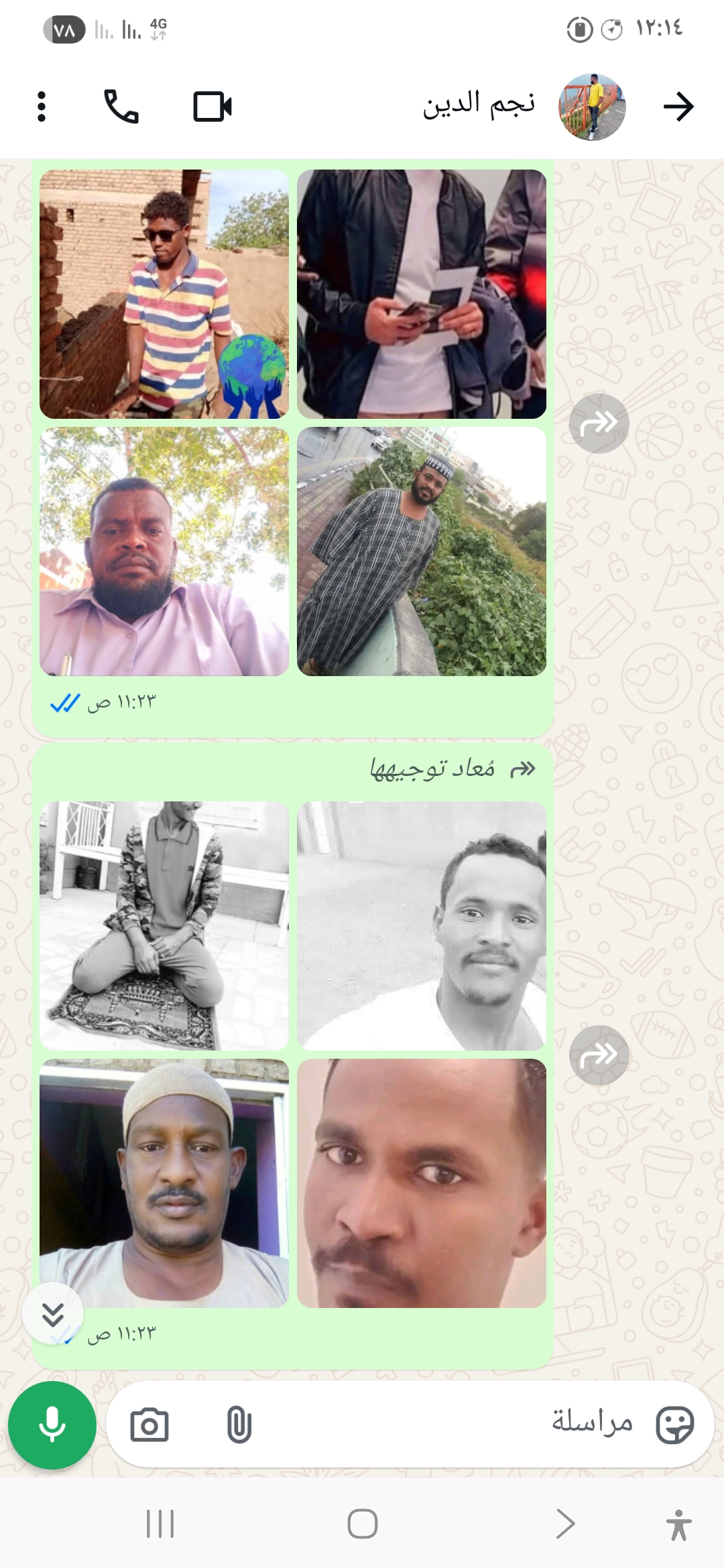 شهداء  السريحة